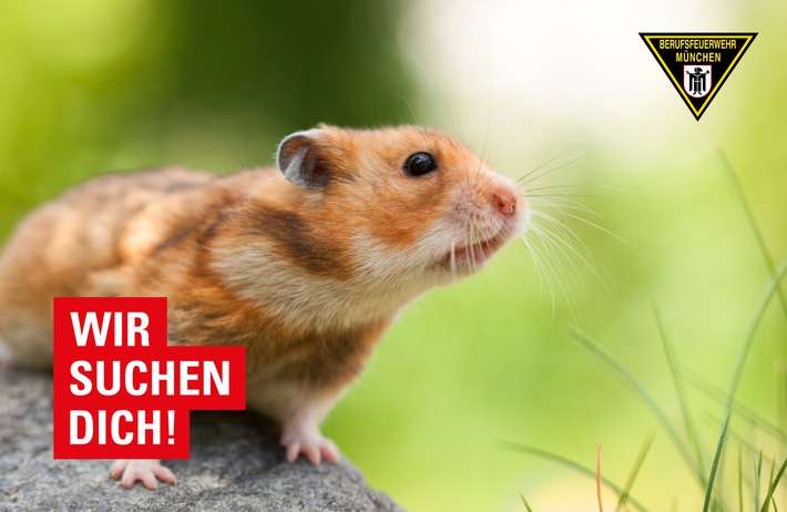FW-M: Feuerwehr München sucht Kleintiere für den Einsatzdienst