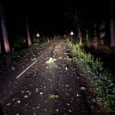 FFW Schiffdorf: Unwetter sorgt für viele Einsätze im Gemeindegebiet Schiffdorf