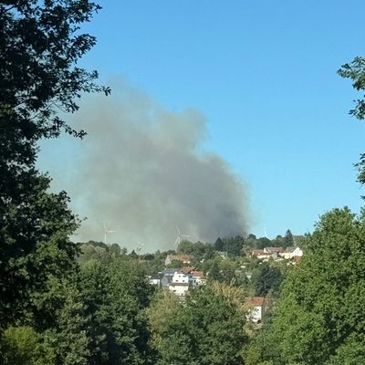 FW LK Neunkirchen: Großflächiger Waldbrand am Wingertsweiher fordert mehrere hundert Einsatzkräfte über zwei Tage