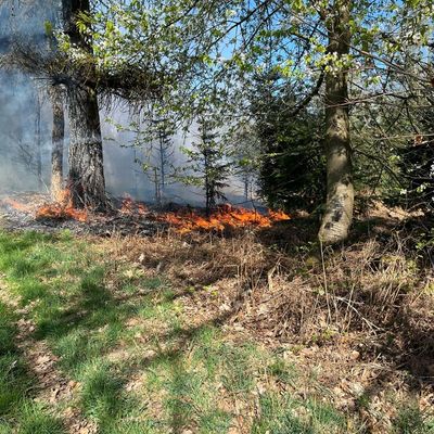 FW-Velbert: Waldbrand in Velbert-Neviges