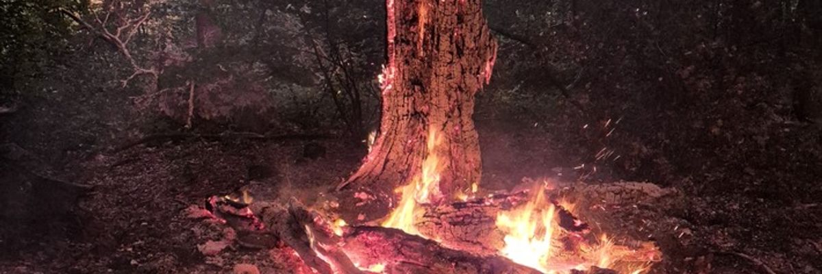 FW-EN: Ölspur und Waldbrand