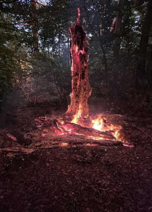 FW-EN: Ölspur und Waldbrand