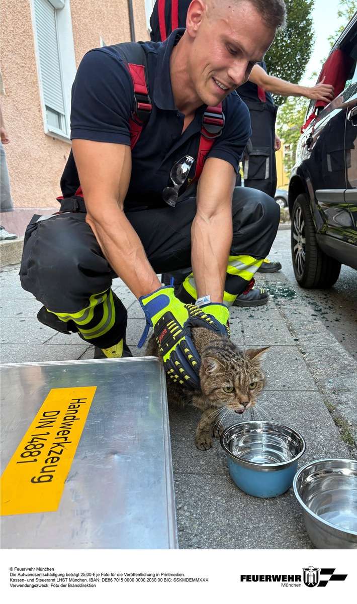 FW-M: Hund und Katze aus überhitztem Fahrzeug gerettet (Pasing)