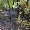 FW Stockach: Brennendes Gebüsch
