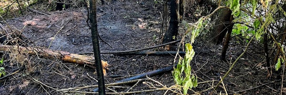 FW Stockach: Brennendes Gebüsch