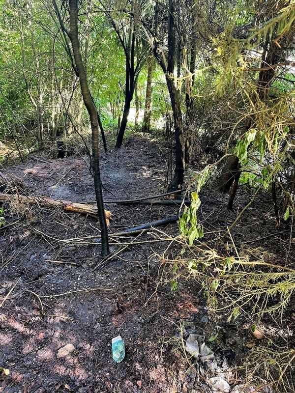 FW Stockach: Brennendes Gebüsch