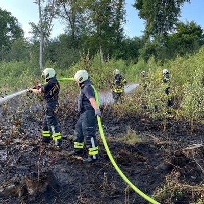 FW-EN: Waldbrand kann unter Kontrolle gebracht werden