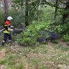 FW-ROW: Flächenbrand in Volkensen