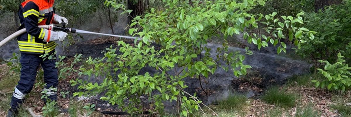FW-ROW: Flächenbrand in Volkensen