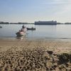FW-PI: Vegetationsbrand auf der Elbinsel Pagensand - Aufwendiger Einsatz über Wasserwege