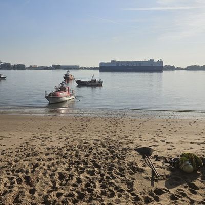 FW-PI: Vegetationsbrand auf der Elbinsel Pagensand - Aufwendiger Einsatz über Wasserwege