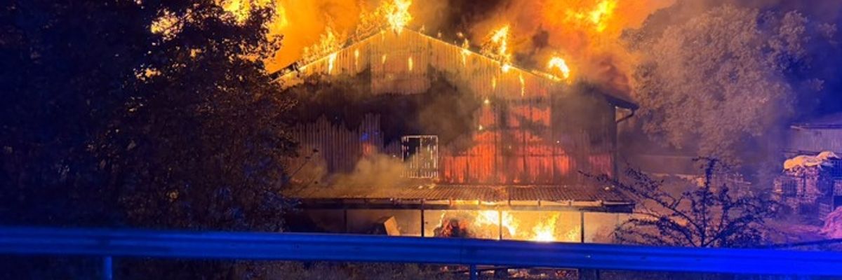 FW-SE: Großbrand auf landwirtschaftlichem Gehöft in Henstedt-Ulzburg. Vier Personen leicht verletzt