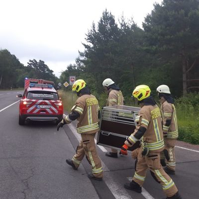 FW Helmstedt: Verkehrsunfall mit eingeklemmter Person