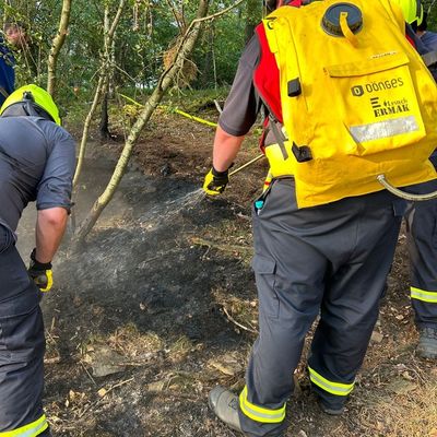 FW Nideggen: Ausgedehnter Waldbrand im Nationalpark bei Schmidt