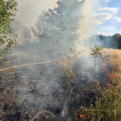 FW-RS: Vegetationsbrand Papenberg Feuerwehr verhindert weitere Ausbreitung