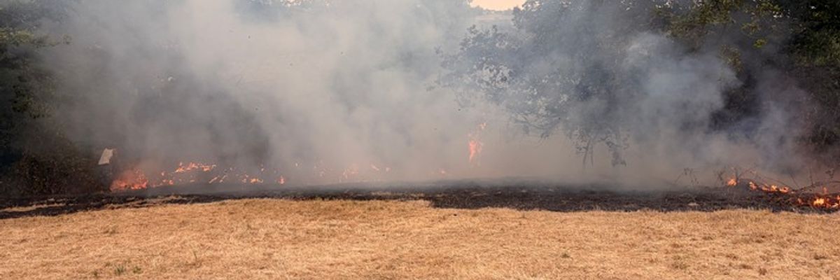 FW-Heiligenhaus: Vegetationsbrand im Stadtteil Isenbügel - rund 50 Einsatzkräfte über drei Stunden im Einsatz