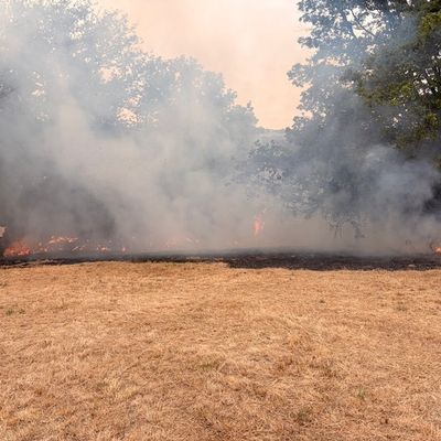 FW-Heiligenhaus: Vegetationsbrand im Stadtteil Isenbügel - rund 50 Einsatzkräfte über drei Stunden im Einsatz