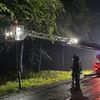FW-AUR: Äste im Egelser Wald herabgestürzt