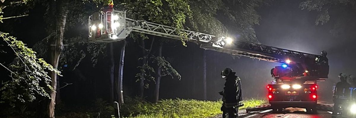 FW-AUR: Äste im Egelser Wald herabgestürzt