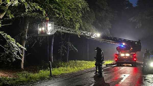 FW-AUR: Äste im Egelser Wald herabgestürzt