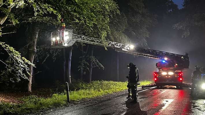 FW-AUR: Äste im Egelser Wald herabgestürzt