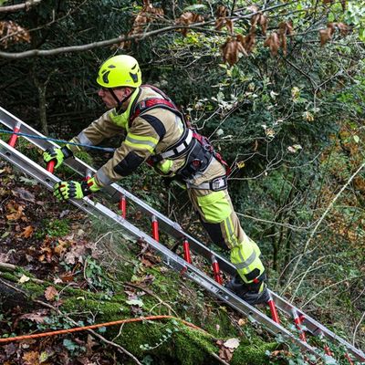 FW-MK: Feuerwehr rettet Golden Retriever aus Steilhang im Iserlohner Stadtwald