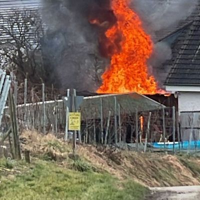 KFV Bodenseekreis: Schuppen im Vollbrand am Funkensonntag