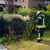 FW-AUR: Heckenbrand abgelöscht / Feuerwehr rät zu Vorsicht