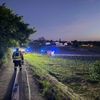 FW Weinheim: Feuer im Weinberg - Weinheimer Feuerwehr stoppt Flammen im Abendrot