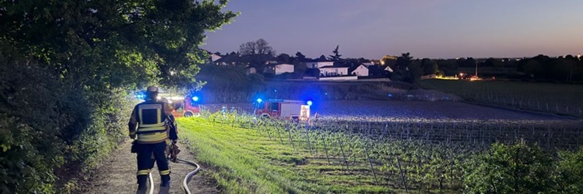 FW Weinheim: Feuer im Weinberg - Weinheimer Feuerwehr stoppt Flammen im Abendrot
