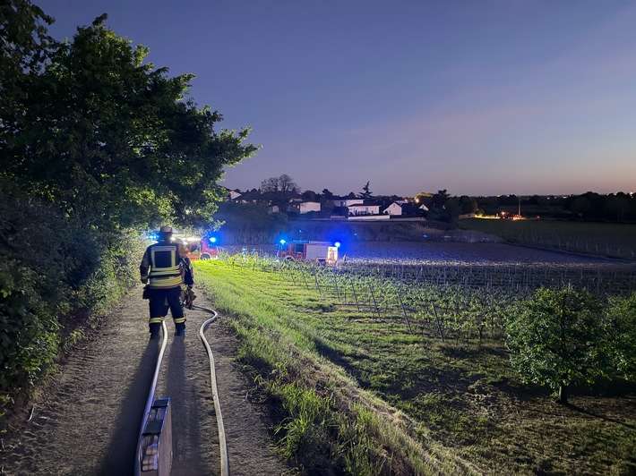 FW Weinheim: Feuer im Weinberg - Weinheimer Feuerwehr stoppt Flammen im Abendrot