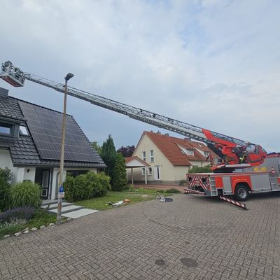 FW Celle: Tierrettung aus Schornstein