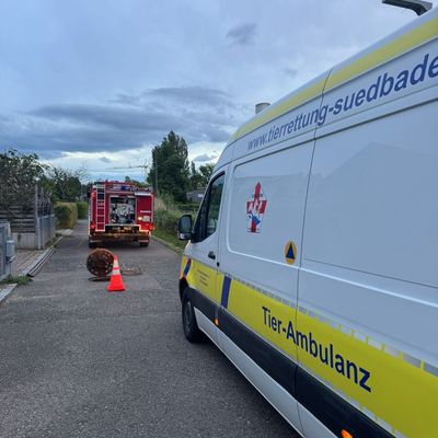FW Allensbach: H1 Tierrettung