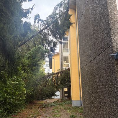 FW Überlingen: Heftiges Unwetter fordert Feuerwehr und führt zu 72 Einsätzen innerhalb kurzer Zeit / umgestürzte Bäume / vollgelaufene Keller / blockierte Fahrbahnen / abgedeckte Häuser
