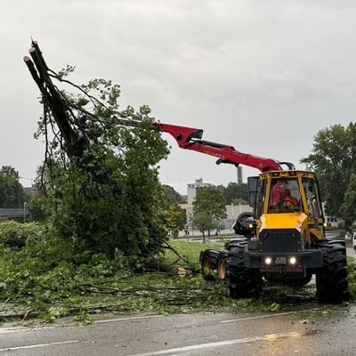 FW-OG: Unwetter über Offenburg - Straßen und Keller überflutet, Bäume entwurzelt und abgeknickt.