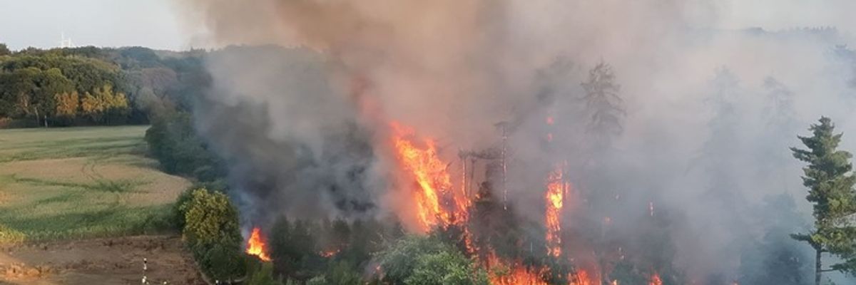FW Sonsbeck: Aufräumarbeiten Waldbrand Labbeck