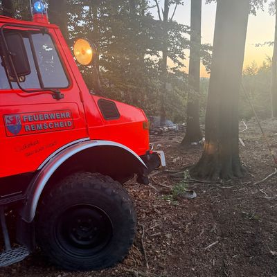 FW-RS: Waldbrand Westerholt