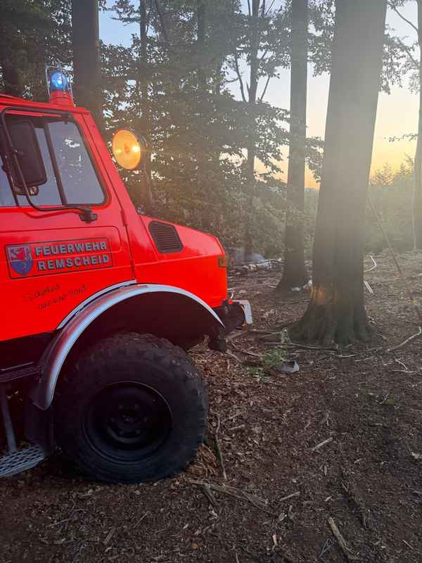 FW-RS: Waldbrand Westerholt