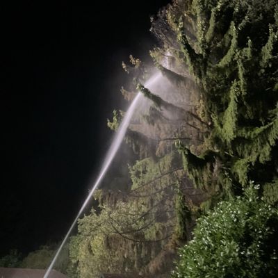 FW-DO: Meterhohe Flammen durch brennende Gartenlaube