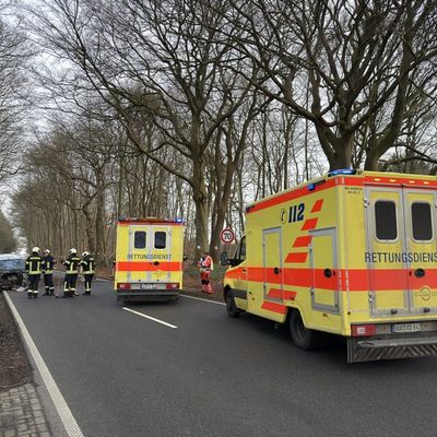 FW-AUR: Baum-Aufprall reißt Motorblock aus PKW
