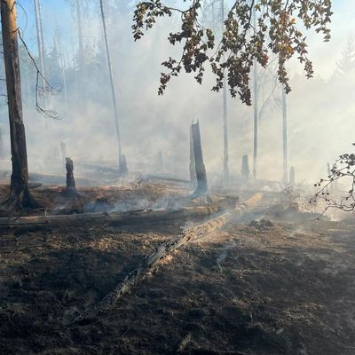 FW Kreis Soest: Waldbrand am Möhnesee aktuell unter Kontrolle / 58.000qm Wald betroffen.