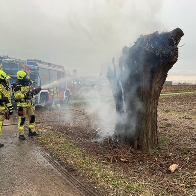 FW Alpen: Freiwillige Feuerwehr Alpen gefordert an den Karnvalstagen