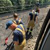 FW Stuttgart: Stuttgarter Feuerwehr löscht erneuten Vegetationsbrand am Hauptbahnhof