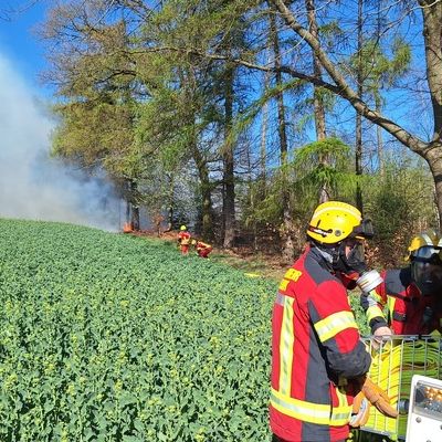 FW-Velbert: Waldbrand in Velbert-Neviges