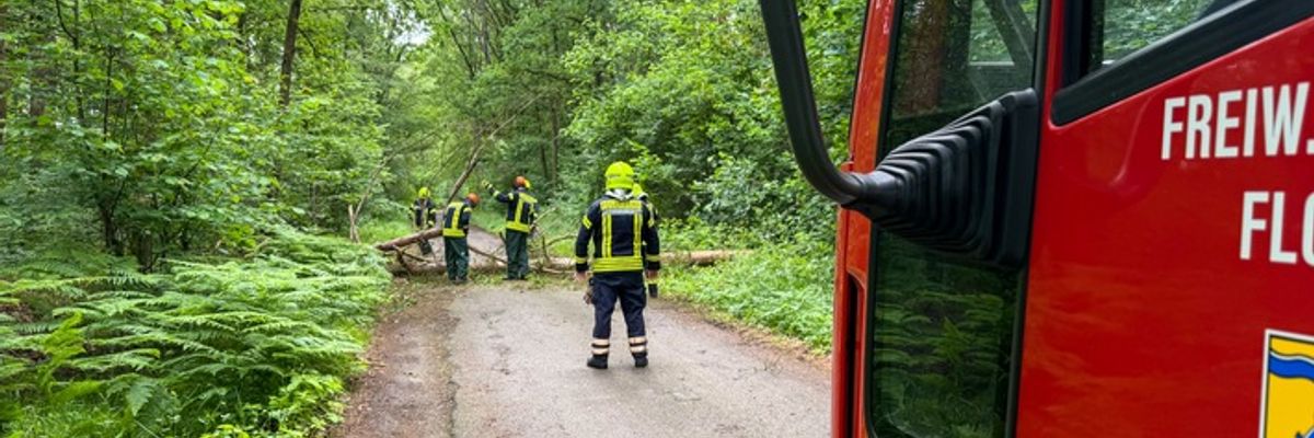 FW Flotwedel: Feuerwehren der Samtgemeinde Flotwedel an zwei Tagen bei technischen Hilfeleistungen im Einsatz
