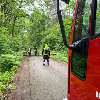 FW Flotwedel: Feuerwehren der Samtgemeinde Flotwedel an zwei Tagen bei technischen Hilfeleistungen im Einsatz