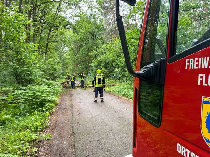 FW Flotwedel: Feuerwehren der Samtgemeinde Flotwedel an zwei Tagen bei technischen Hilfeleistungen im Einsatz