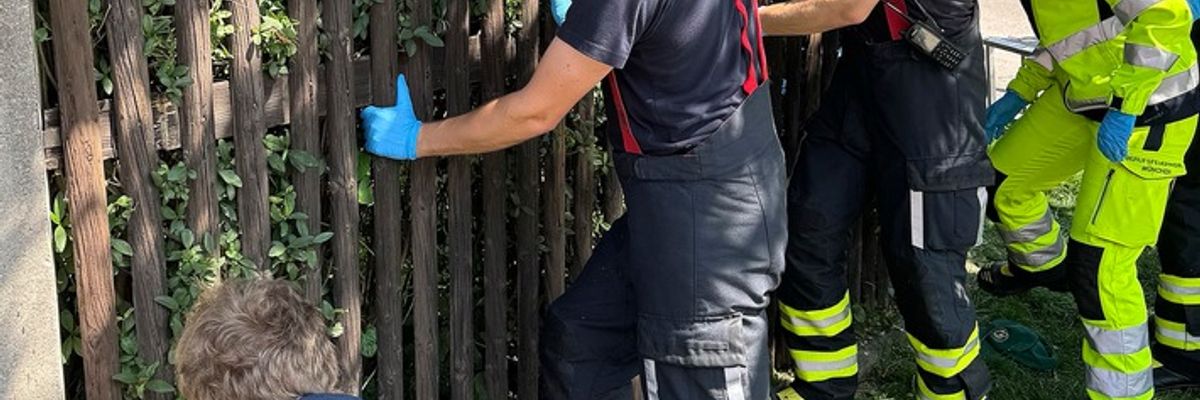 FW-M: Älterer Herr zwischen Hecke und Gartenzaun eingeklemmt (Pasing)