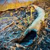 FW Kreis Soest: Waldbrand am Möhnesee - Feuer aus / Abschlussmeldung