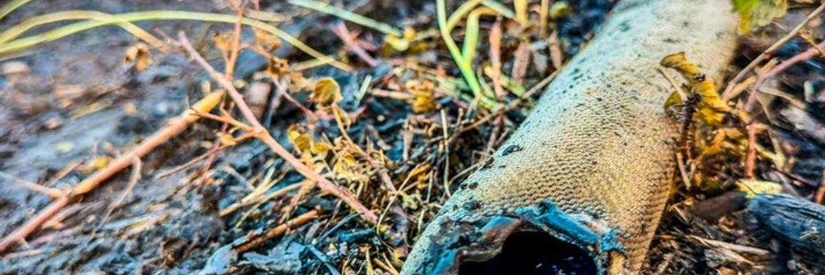 FW Kreis Soest: Waldbrand am Möhnesee - Feuer aus / Abschlussmeldung